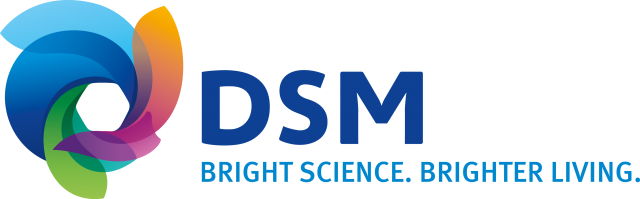 DSM_MasterLogo_FullColor.png